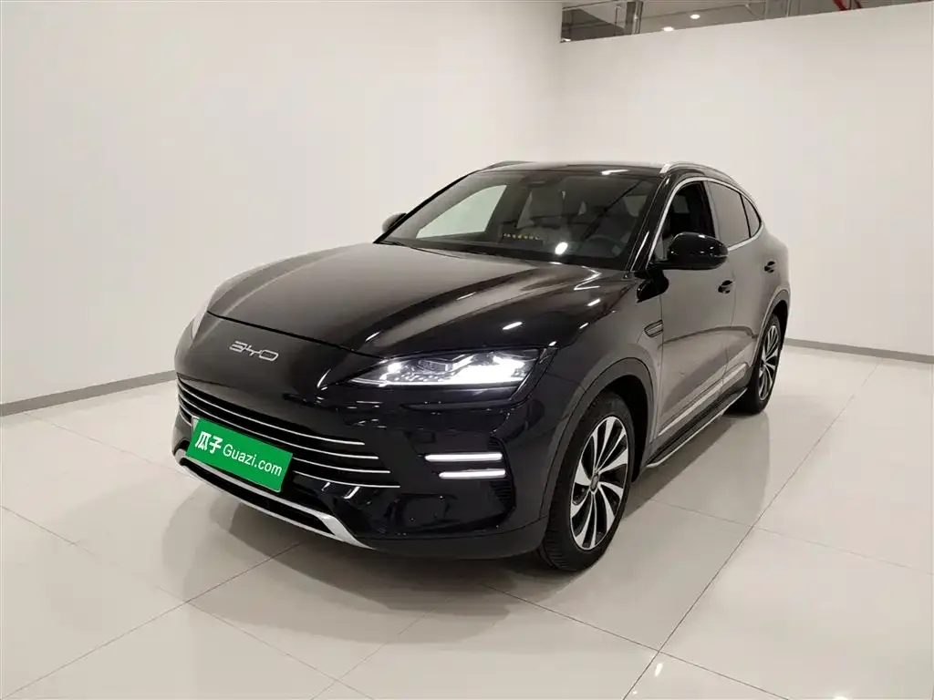 BYD PLUS New Energy 2024 из CN, фото 5