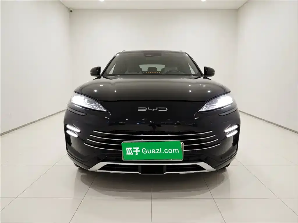 BYD PLUS New Energy 2024 из CN, фото 2