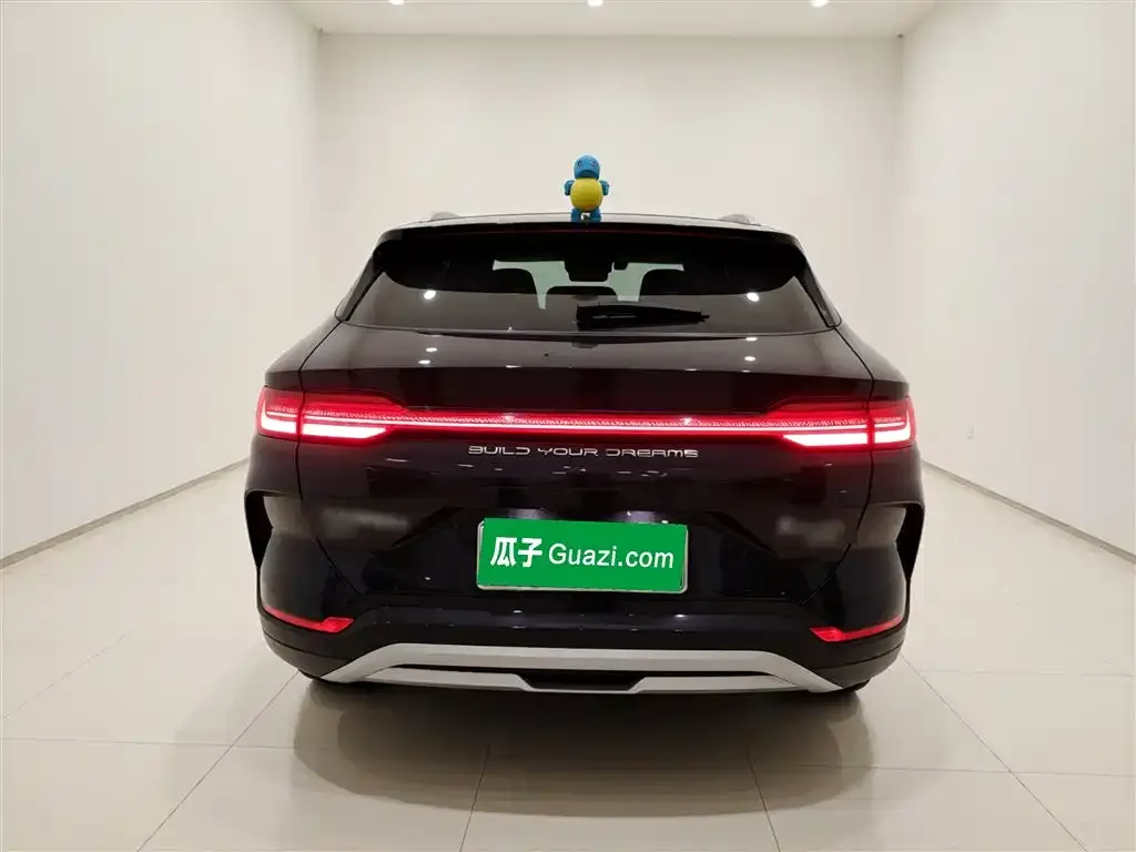 BYD PLUS New Energy 2024 из CN, фото 4