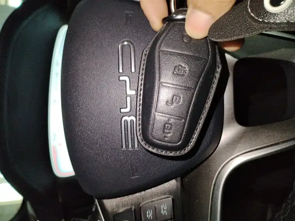 BYD PLUS New Energy 2024 из CN, фото 10