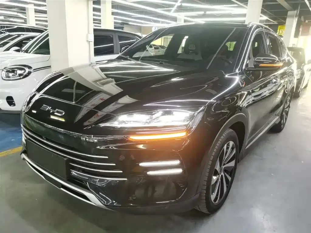 BYD PLUS New Energy — фото 1