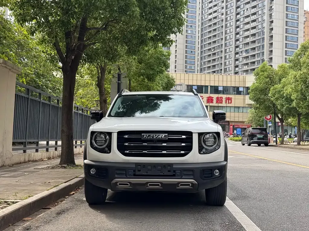 Haval Big Dog — фото 1