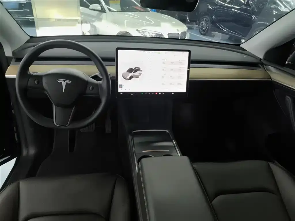 Tesla Model Y — фото 10