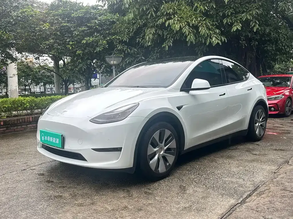 Tesla Model Y 2021 из CN, фото 1