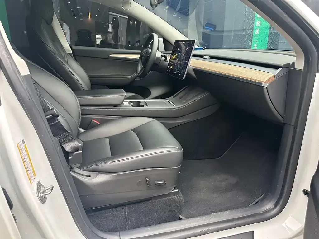 Tesla Model Y 2021 из CN, фото 3