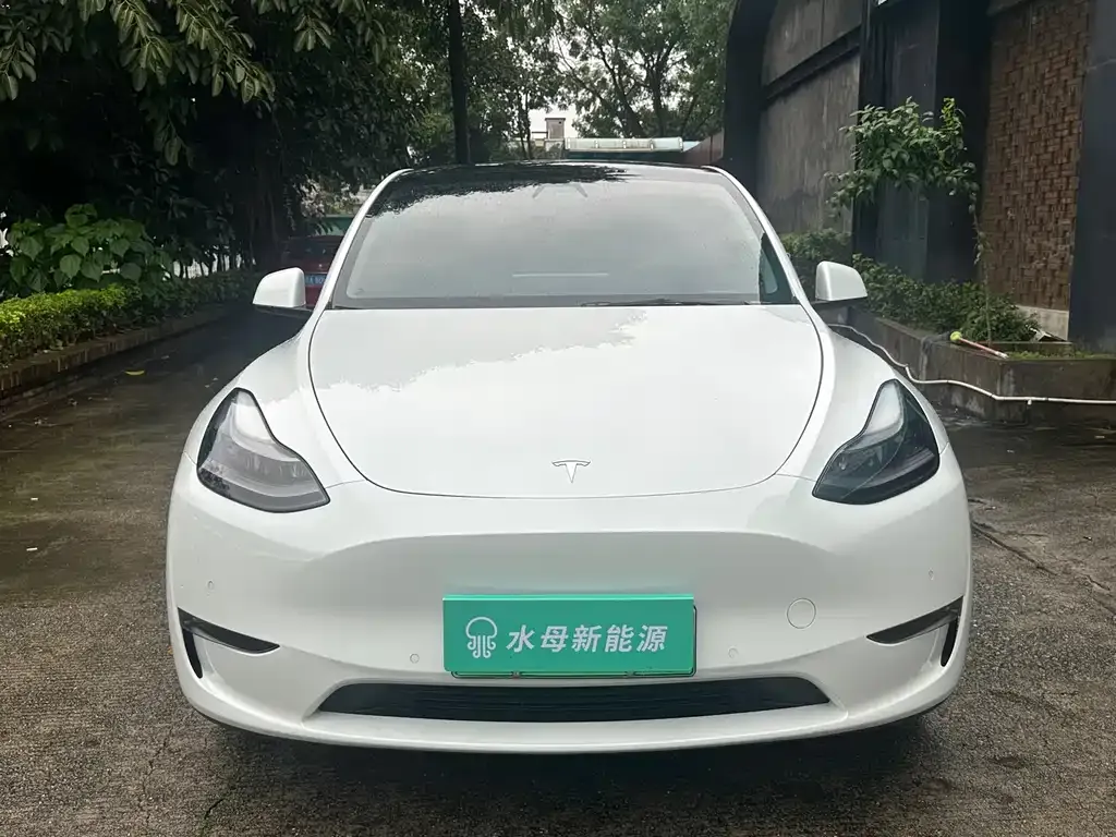 Tesla Model Y 2021 из CN, фото 9