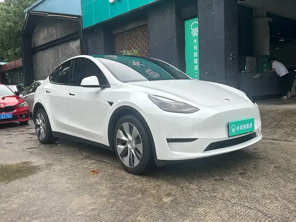 Tesla Model Y 2021 из CN, фото 8