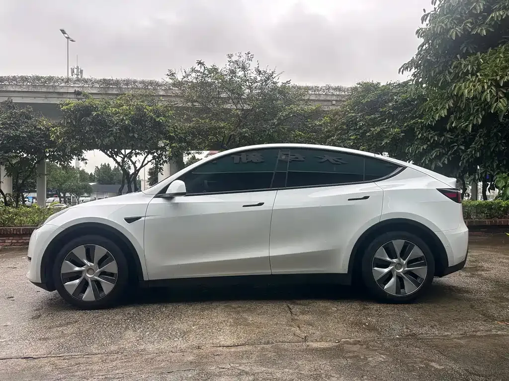 Tesla Model Y 2021 из CN, фото 7