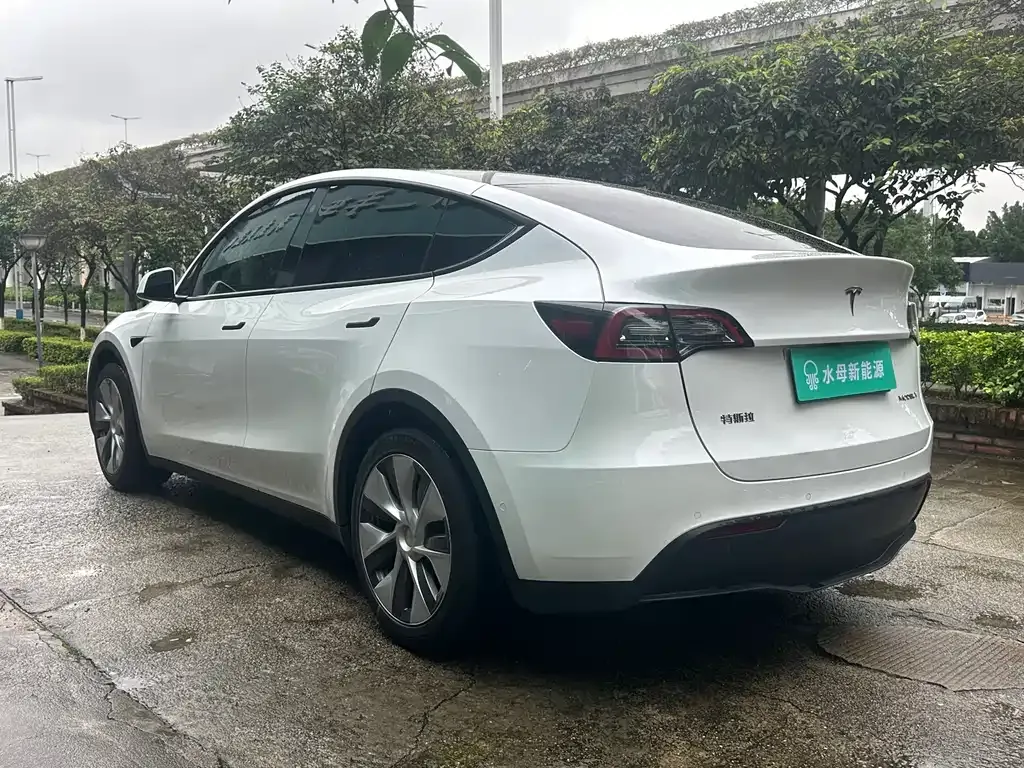 Tesla Model Y 2021 из CN, фото 10