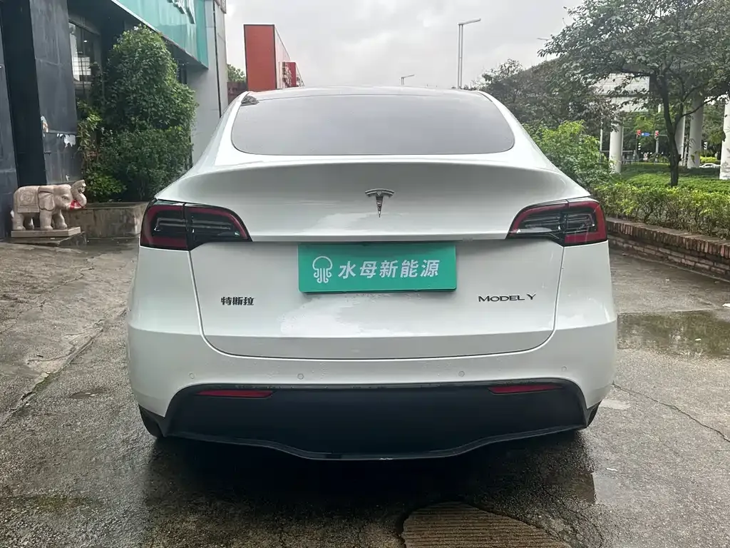 Tesla Model Y 2021 из CN, фото 5