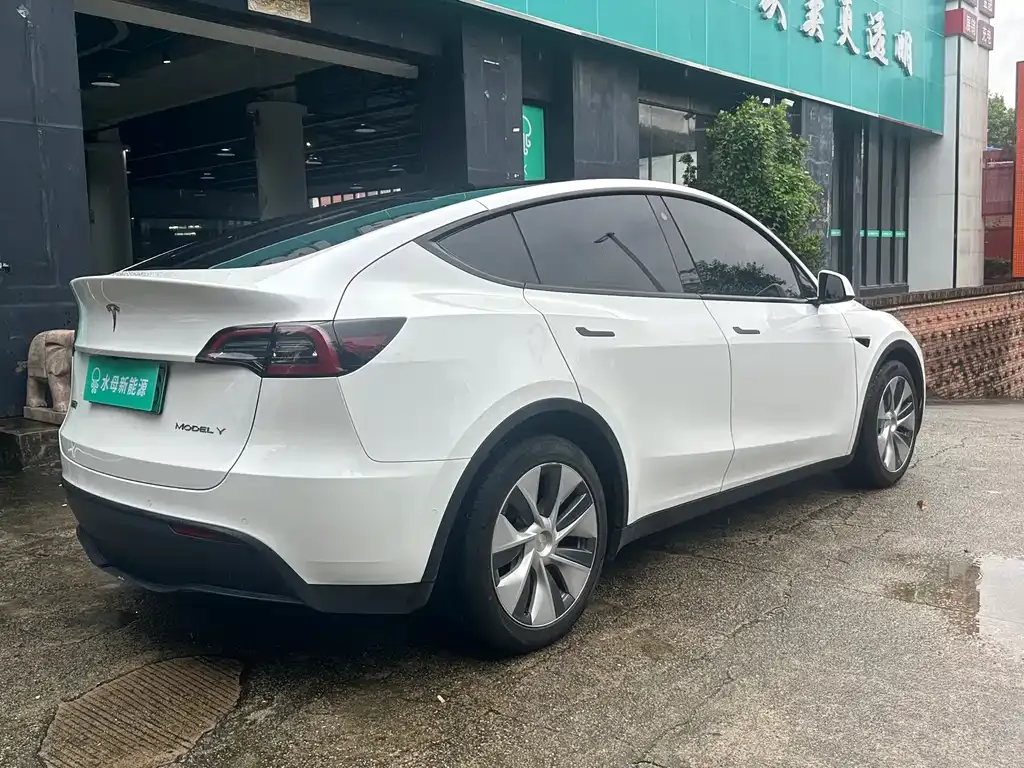 Tesla Model Y 2021 из CN, фото 6