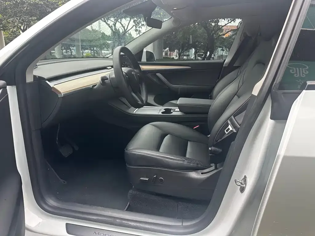 Tesla Model Y 2021 из CN, фото 4