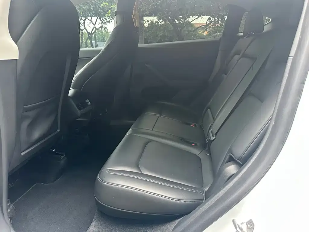Tesla Model Y 2021 из CN, фото 2