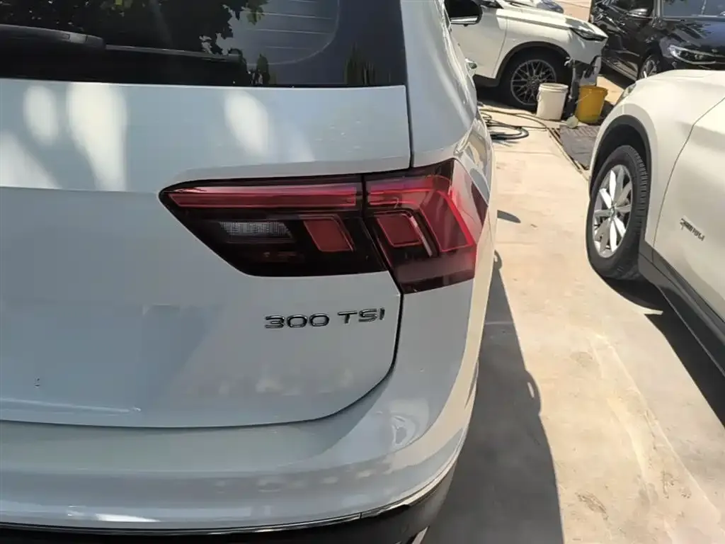 Volkswagen Tiguan L 2024 из CN, фото 7