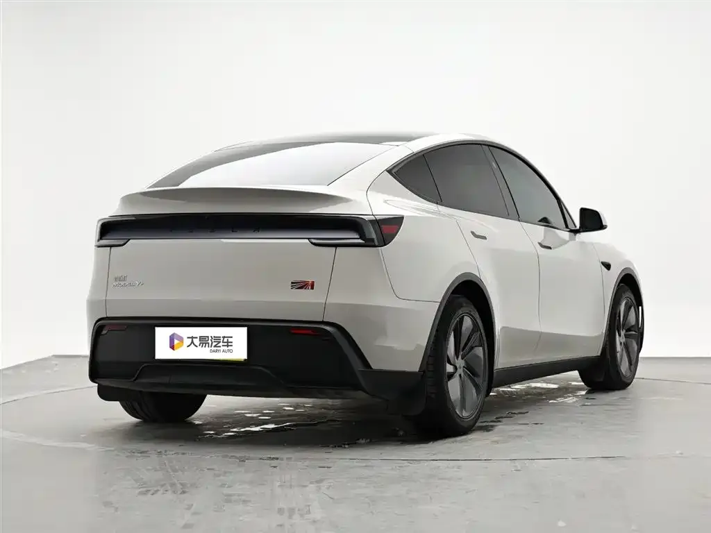 Tesla Model Y — фото 10