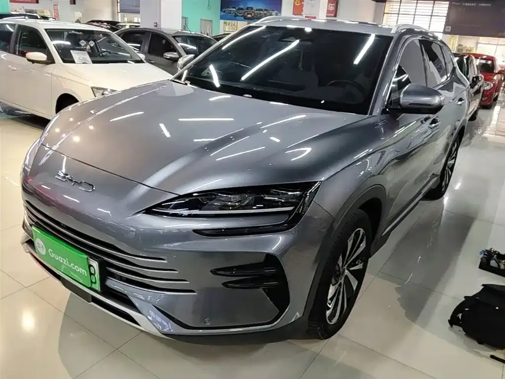 BYD PLUS New Energy — фото 7