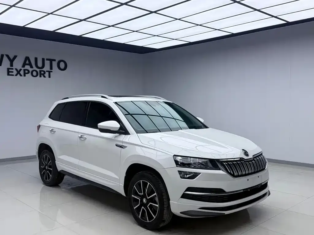Skoda Karoq — фото 8