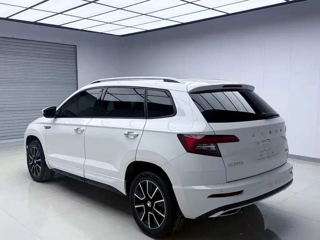 Skoda Karoq — фото 6