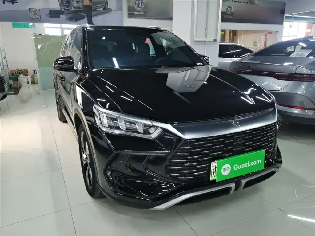 BYD Pro New Energy — фото 6