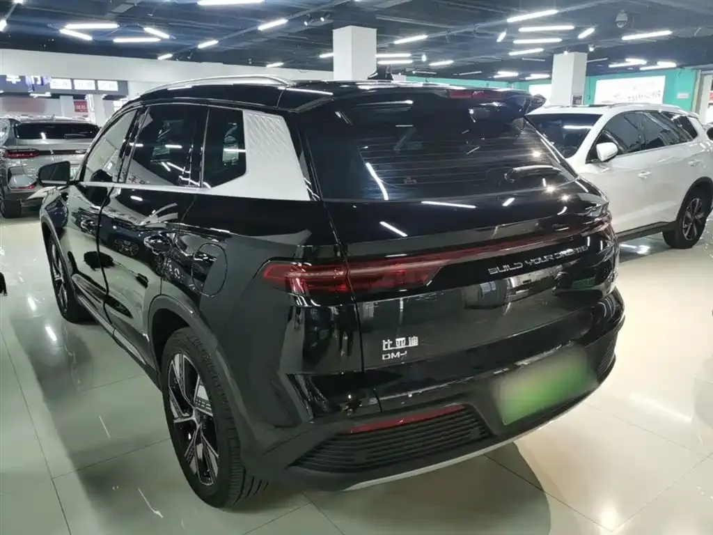 BYD Pro New Energy — фото 9