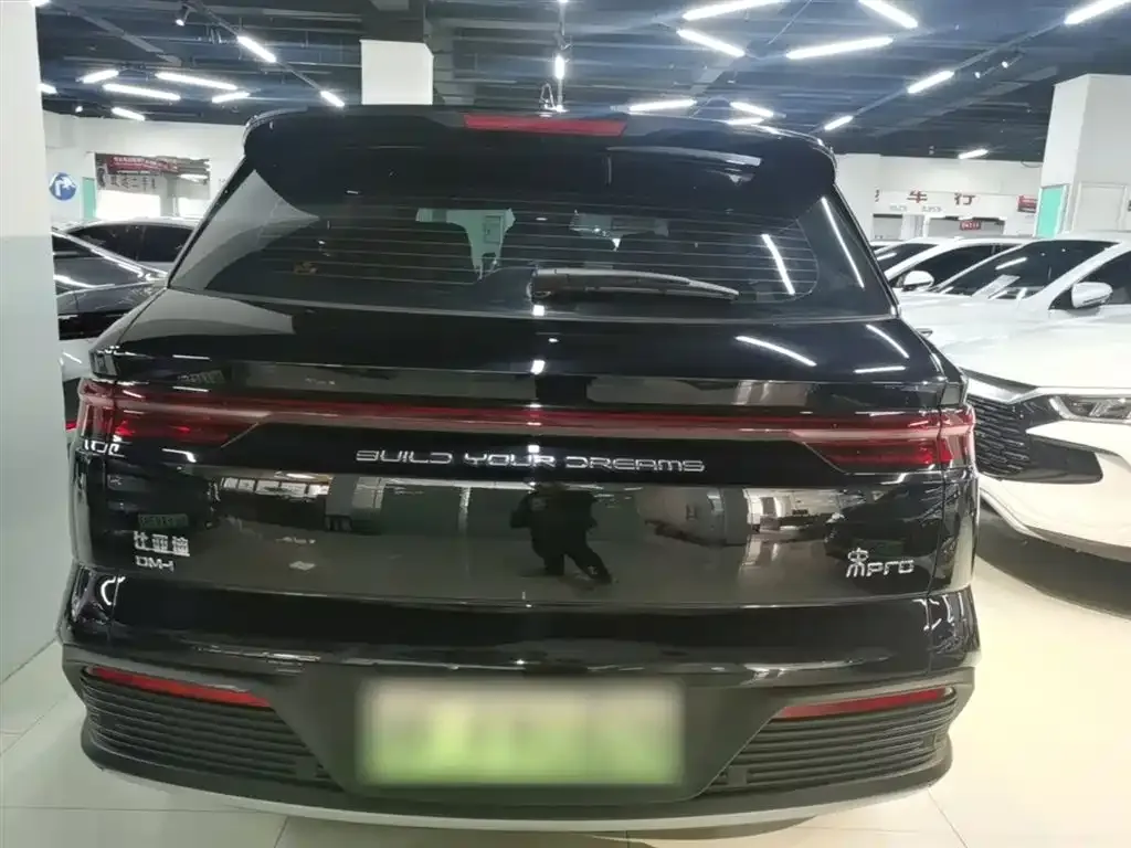 BYD Pro New Energy — фото 7