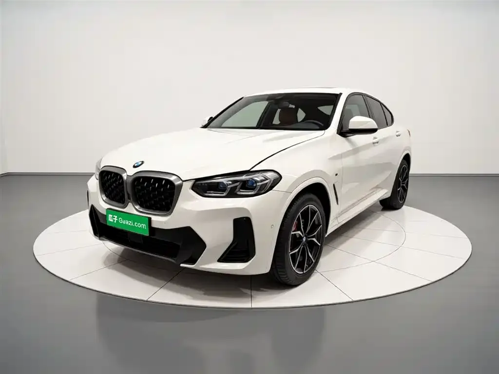 BMW X4 — фото 1