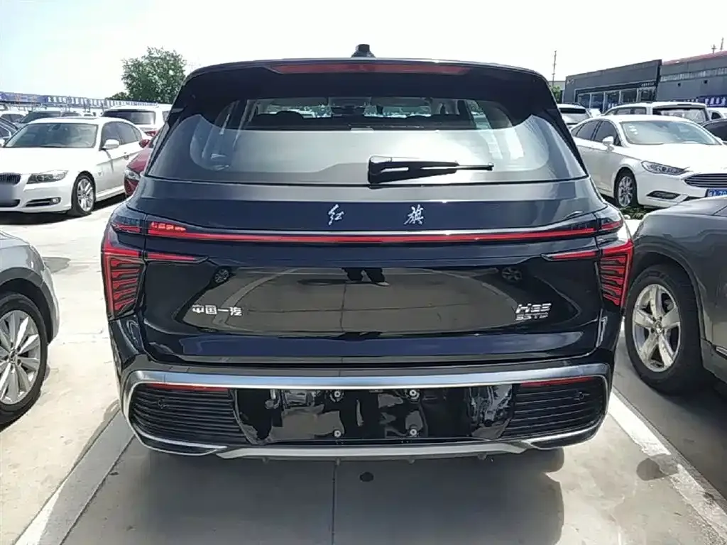 Hongqi HS3 2025 из CN, фото 8