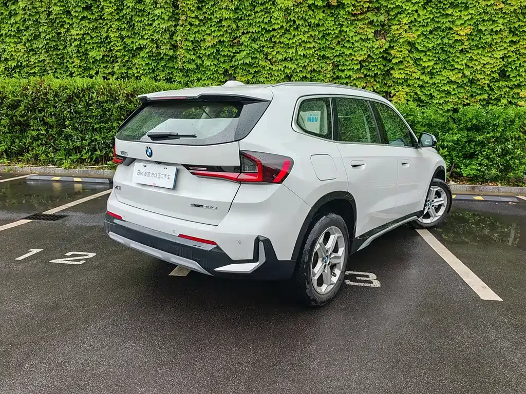 BMW X1 2024 из CN, фото 6