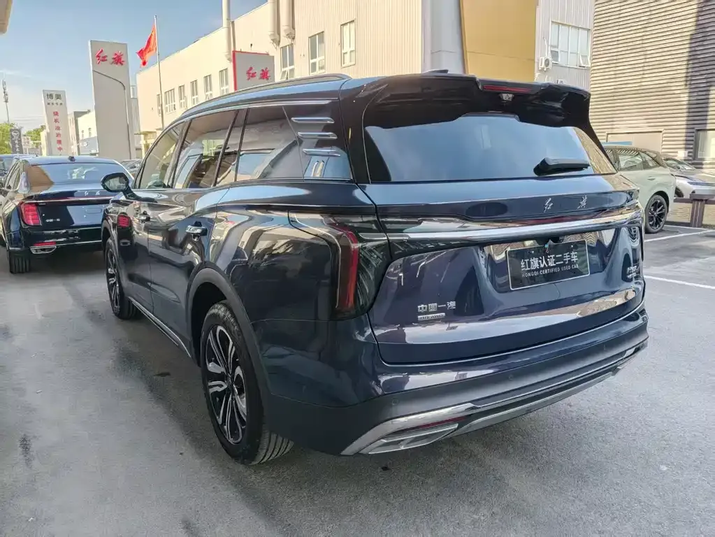 Hongqi HS7 2023 из CN, фото 10