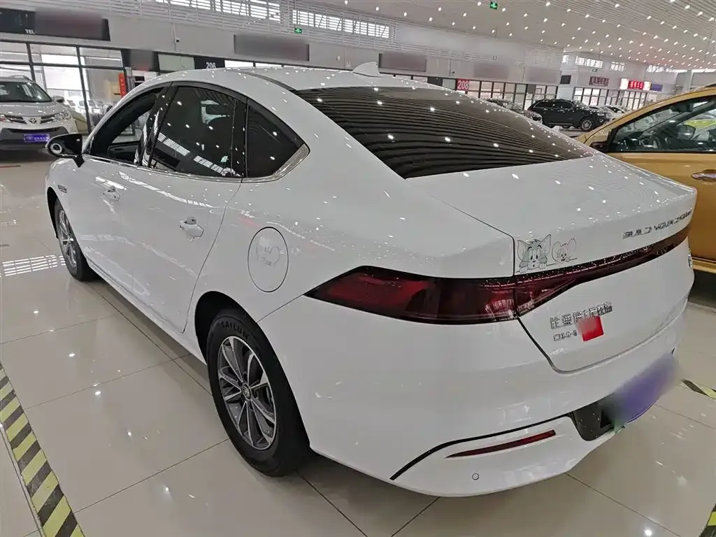 BYD Qin PLUS — фото 3