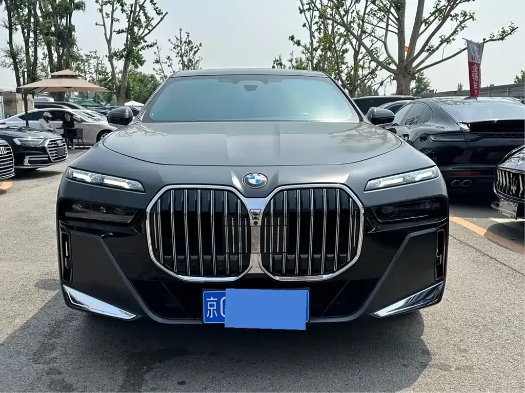 BMW 7 Series 2023 из CN, фото 9