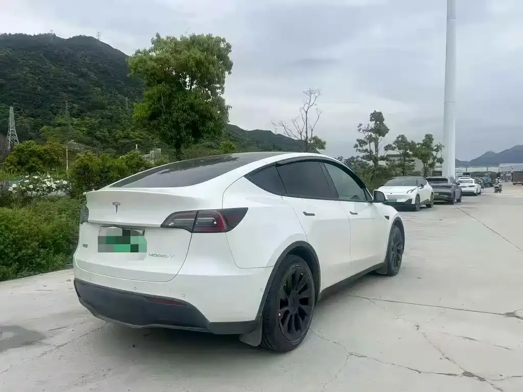 Tesla Model Y — фото 4