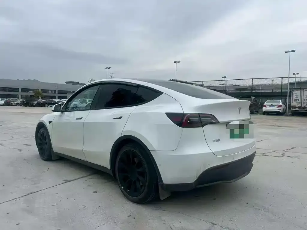 Tesla Model Y — фото 2