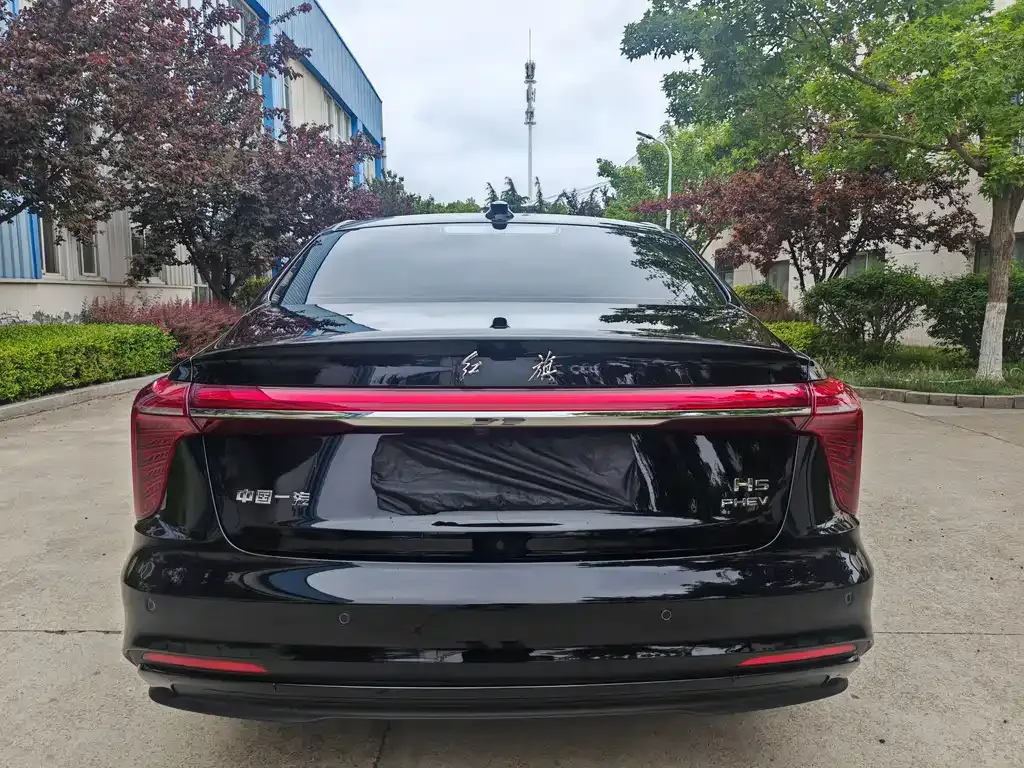 Hongqi H5 PHEV 2025 из CN, фото 6