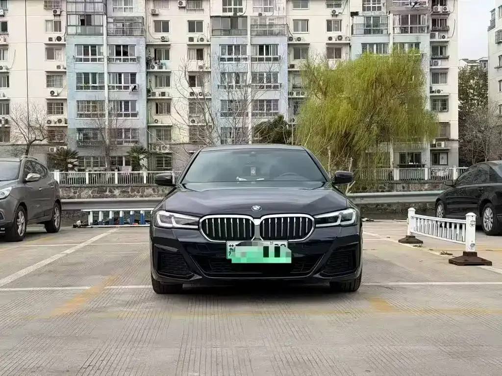 BMW 5 Series New Energy 2021 из CN, фото 9