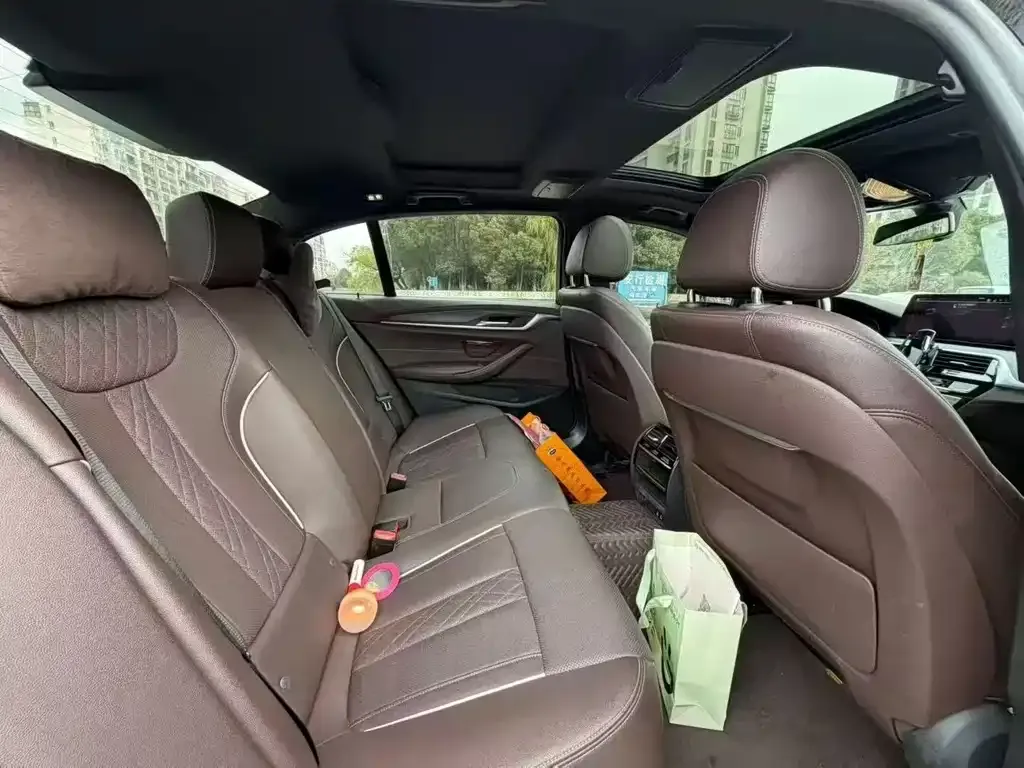 BMW 5 Series New Energy 2021 из CN, фото 2