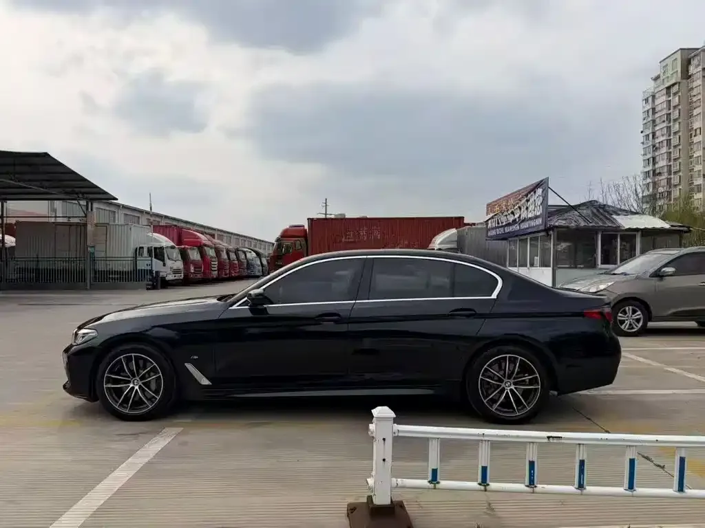 BMW 5 Series New Energy 2021 из CN, фото 5