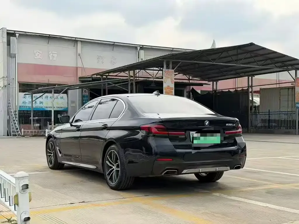BMW 5 Series New Energy 2021 из CN, фото 4