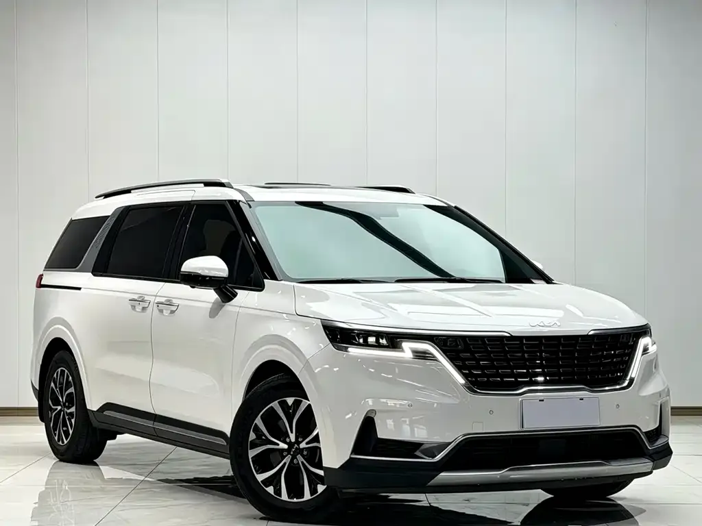 Kia Carnival 2023 из CN, фото 2