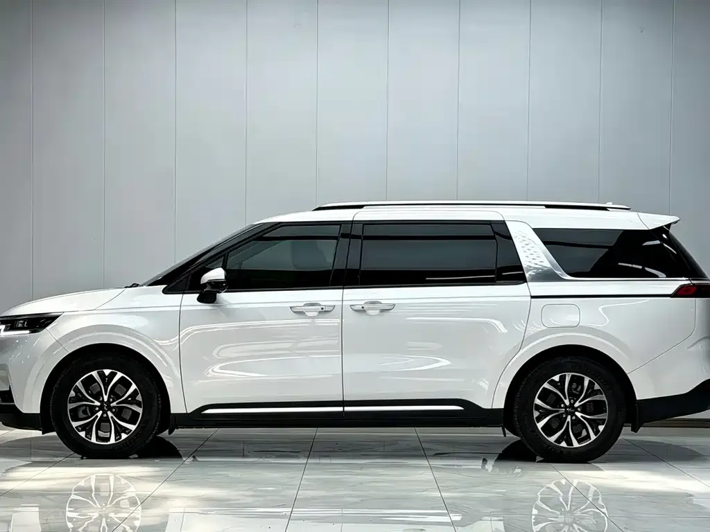 Kia Carnival 2023 из CN, фото 6