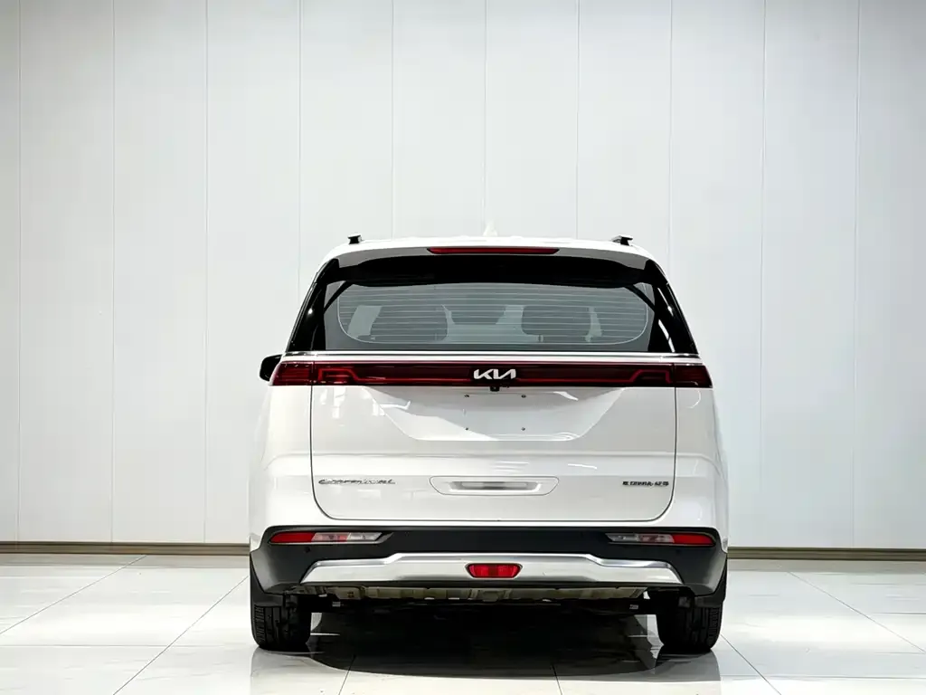 Kia Carnival 2023 из CN, фото 5