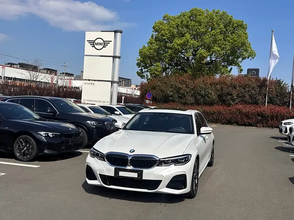 BMW 3 Series — фото 1