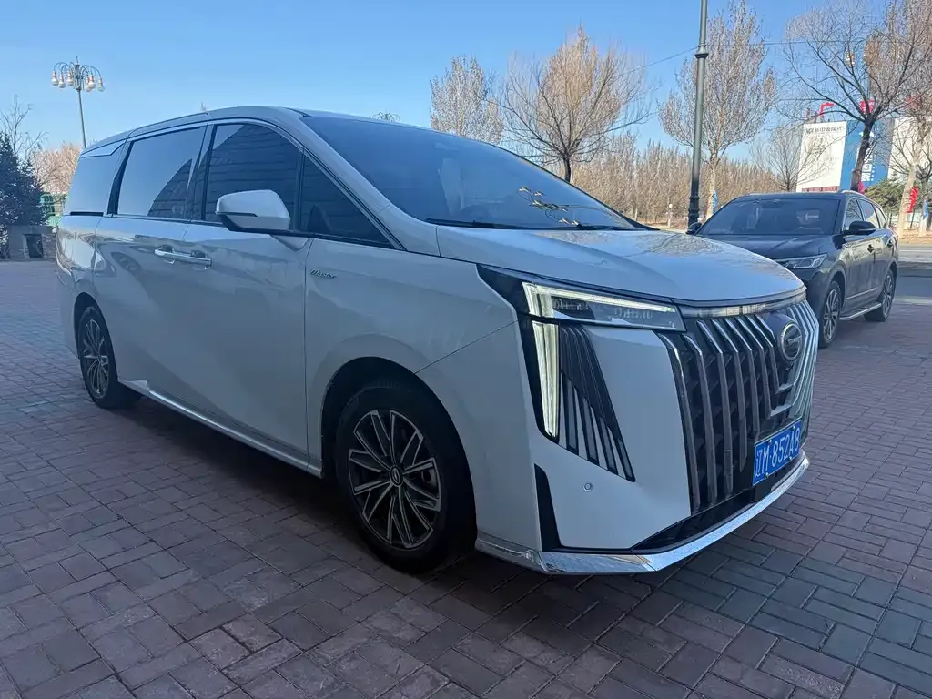 GAC Motor Trumpchi M8 — фото 9