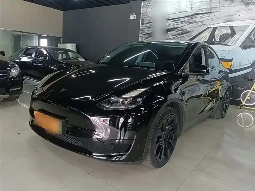 Tesla Model Y — фото 1