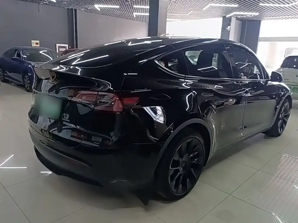 Tesla Model Y — фото 10