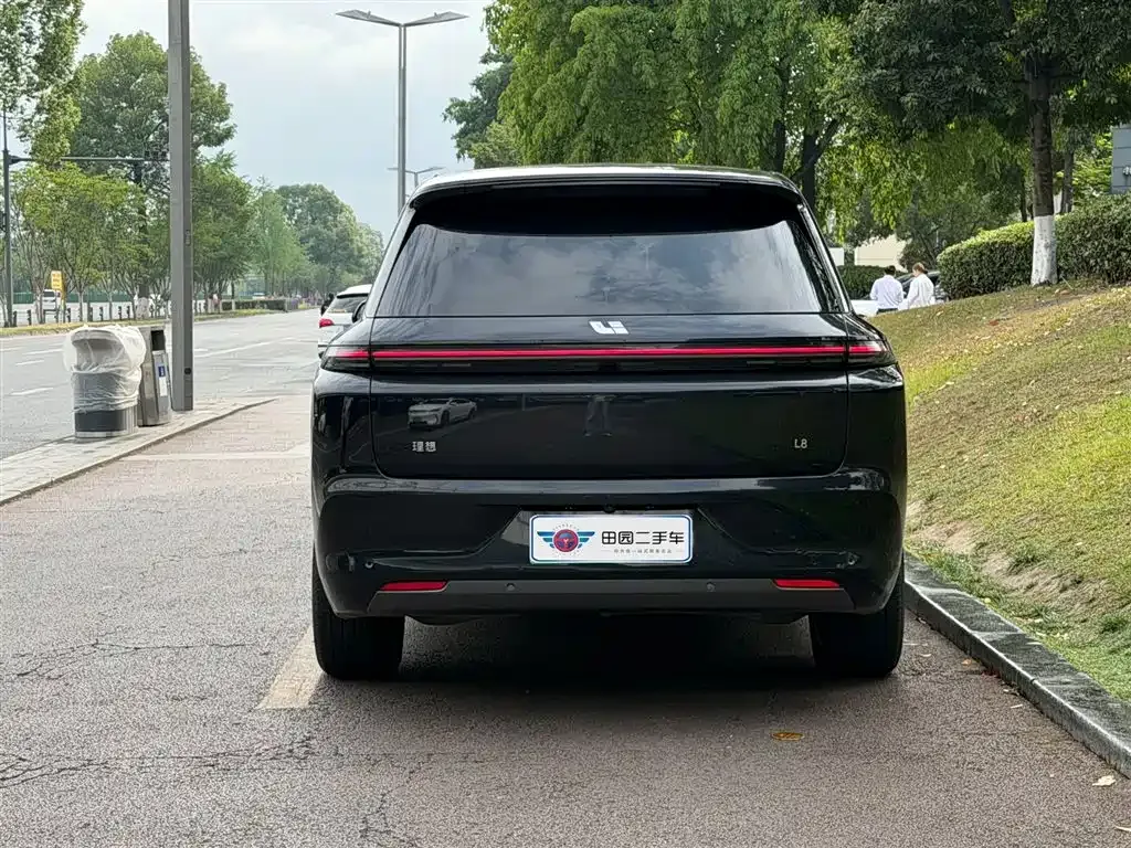 Li Auto L8 2023 из CN, фото 8