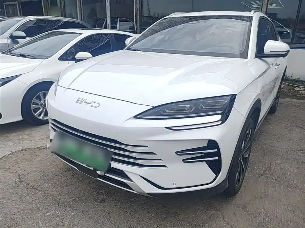 BYD PLUS New Energy 2025 из CN, фото 10