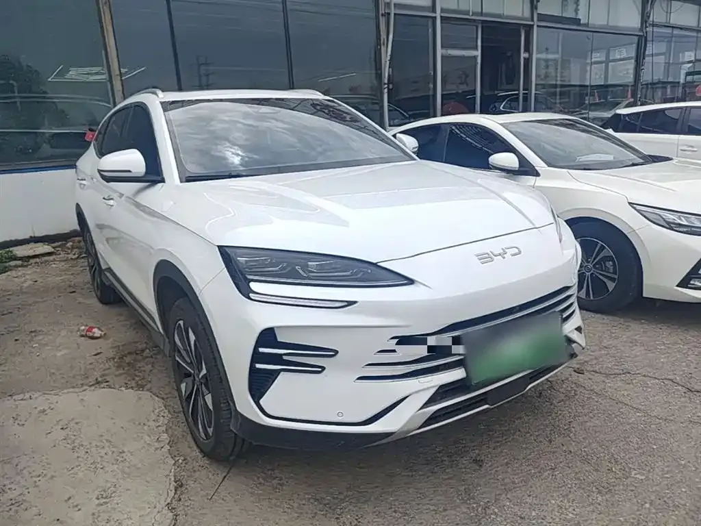 BYD PLUS New Energy 2025 из CN, фото 2