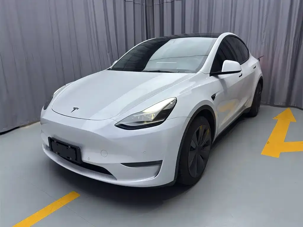 Tesla Model Y — фото 2