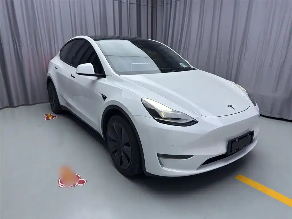 Tesla Model Y — фото 6
